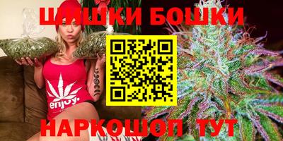 крисы Лесосибирск