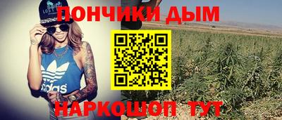 крисы Лесосибирск