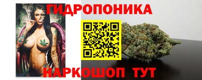 крисы Лесосибирск