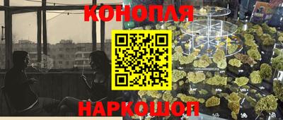 крисы Лесосибирск